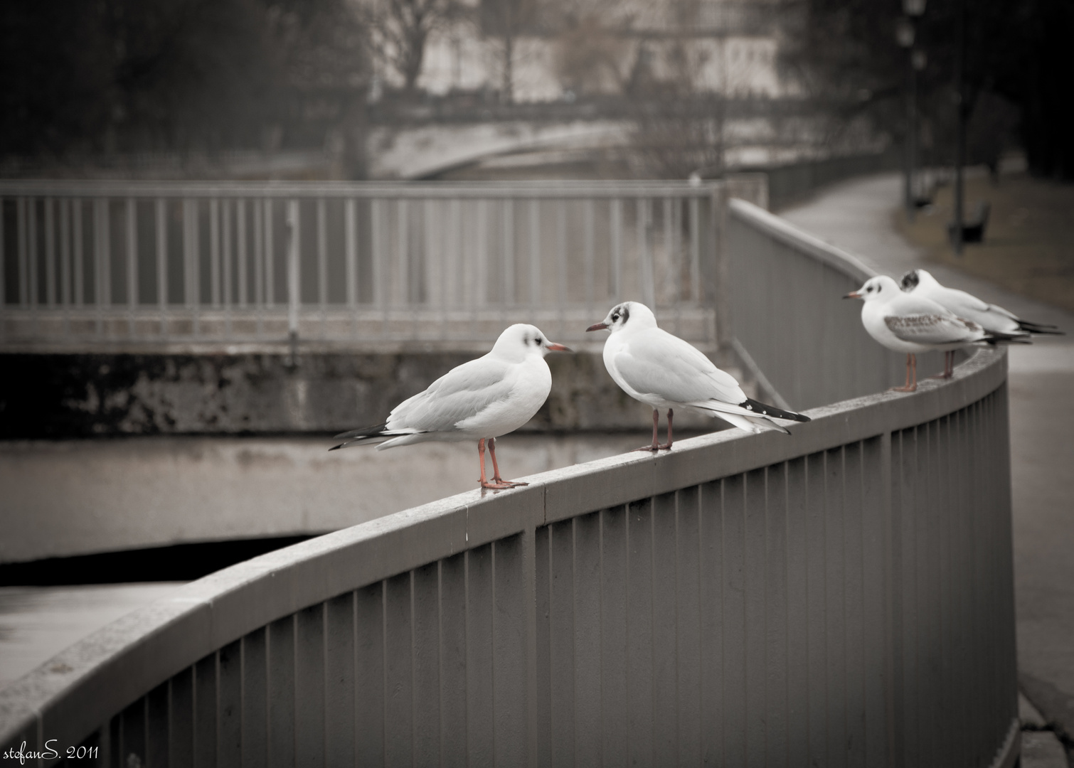 An der Isar