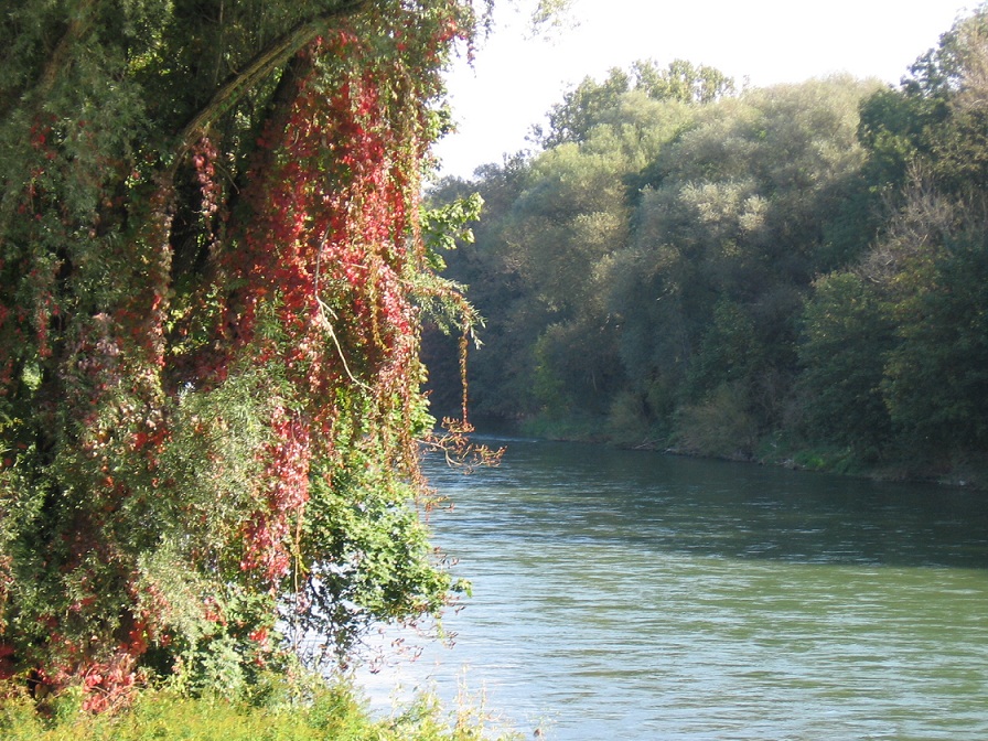 an der Isar