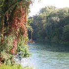 an der Isar