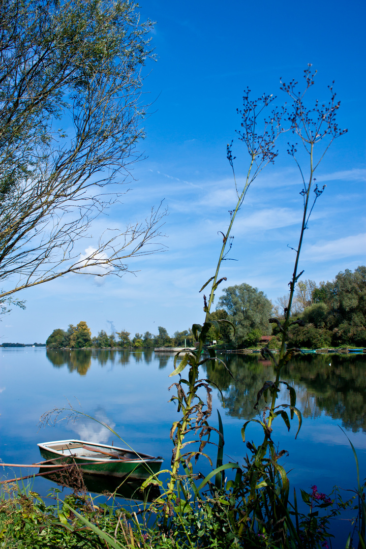 An der Isar