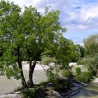 An der Isar in München