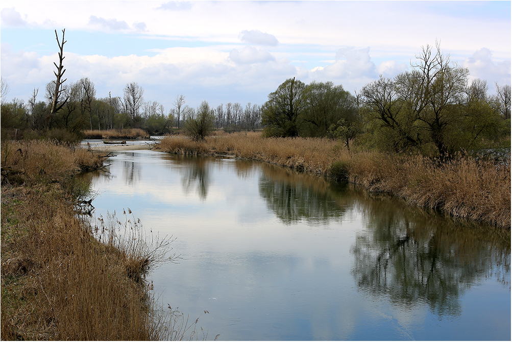 An der Isarmündung