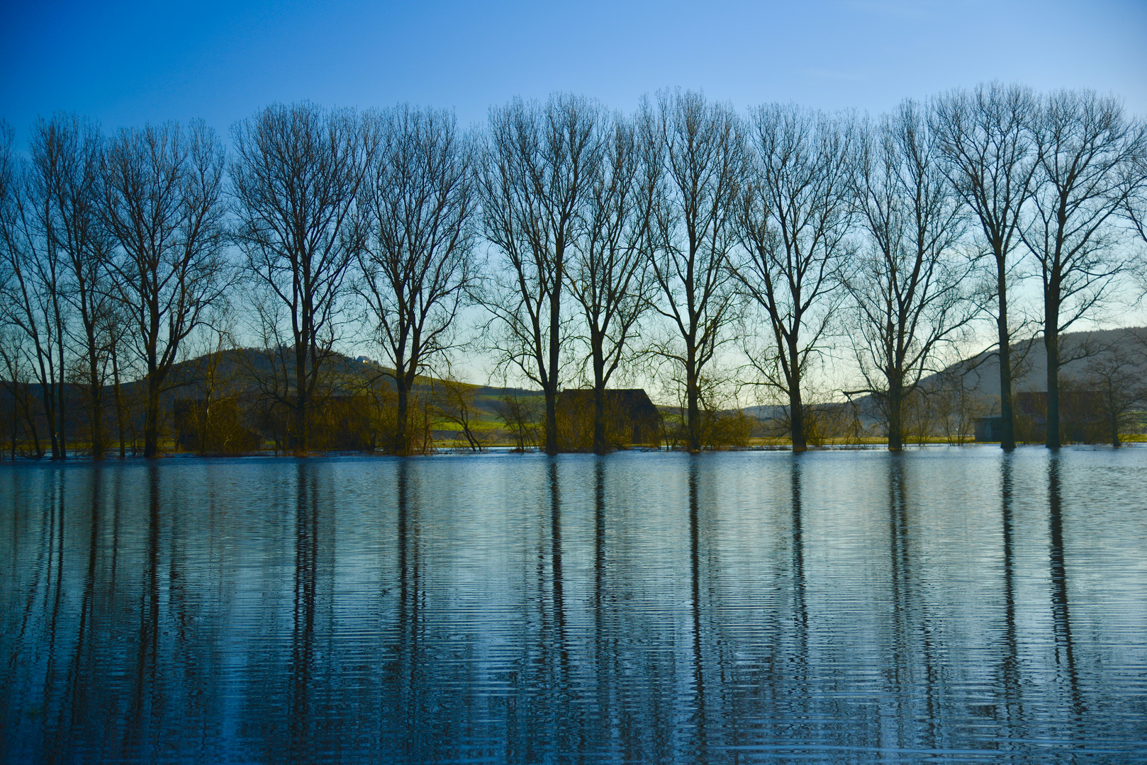 An der jungen Donau -- Donauhochwasser