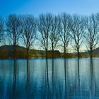 An der jungen Donau -- Donauhochwasser