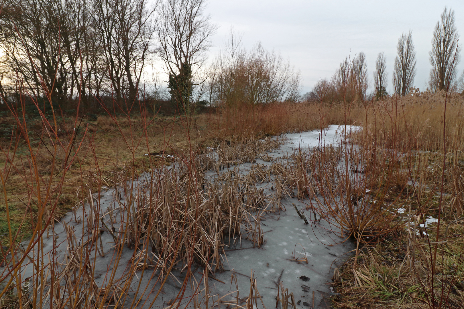 An der Kälberwiese