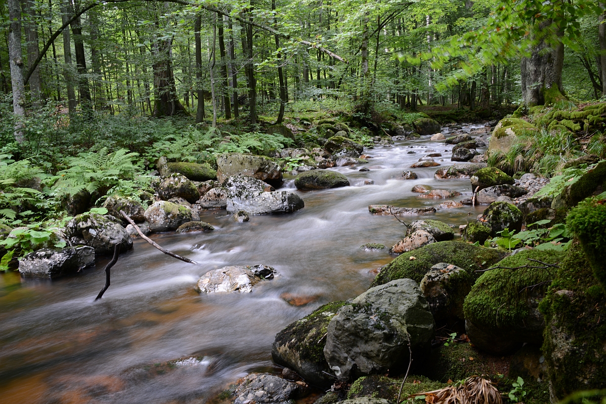 an der Kalten Bode