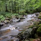 an der Kalten Bode