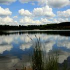 An der Kiesgrube in Kleinsaubernitz bei Bautzen