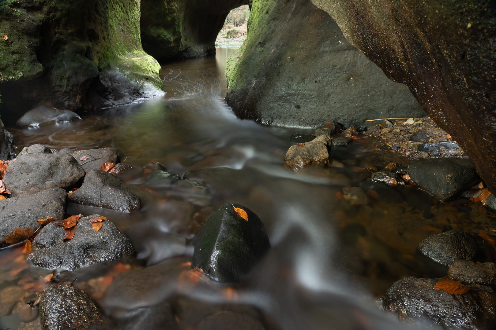 An der Kirnitzsch I - Böhmische Schweiz