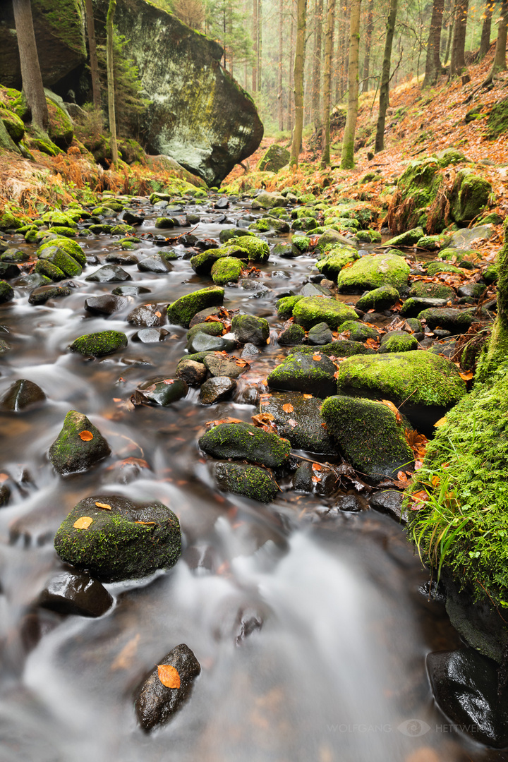 An der Kirnitzsch II - Böhmische Schweiz