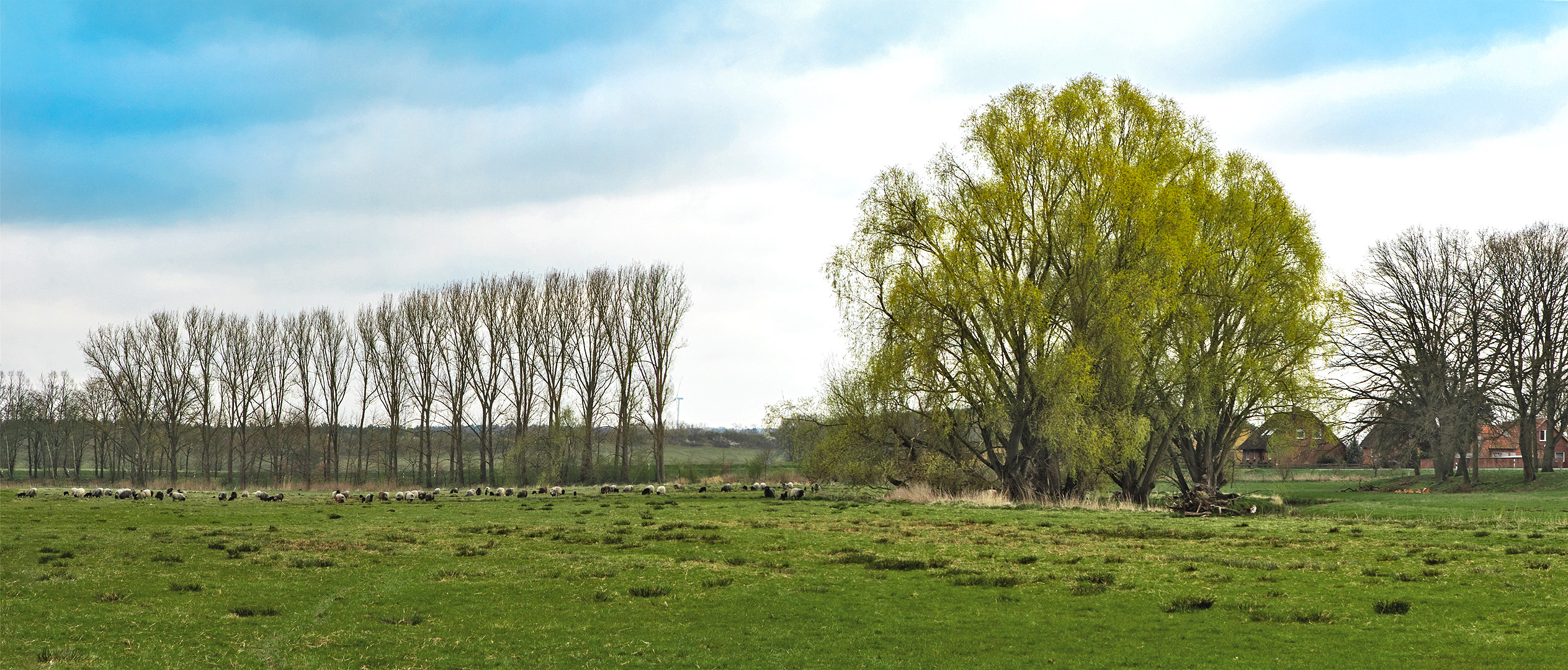 An der kl,Bünstorfer Heide 001