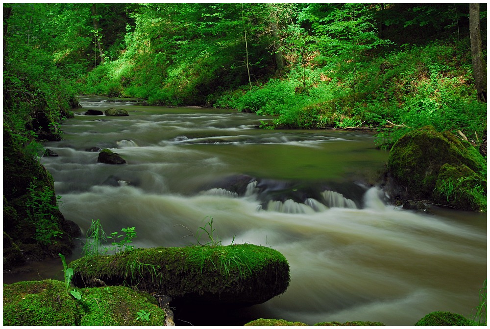 An der Kleinen Kyll bei Manderscheid