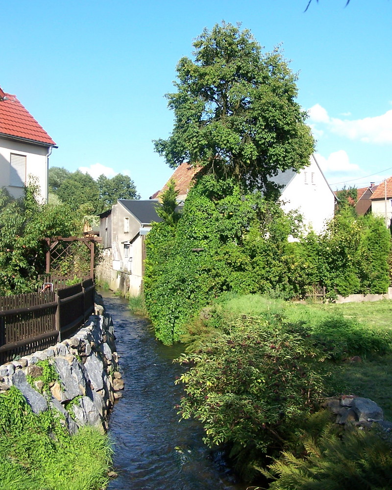 An der Kleinen Röder in Ottendorf-Okrilla