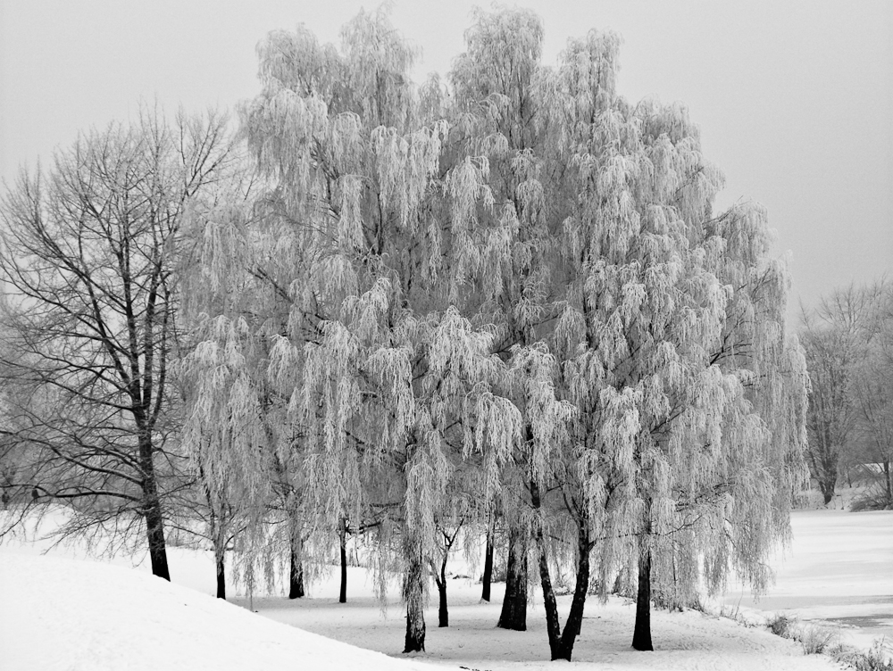 An der kleinen Weser