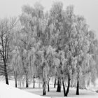 An der kleinen Weser