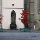 An der Klosterkirche in Zittau