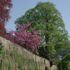 An der Klostermauer