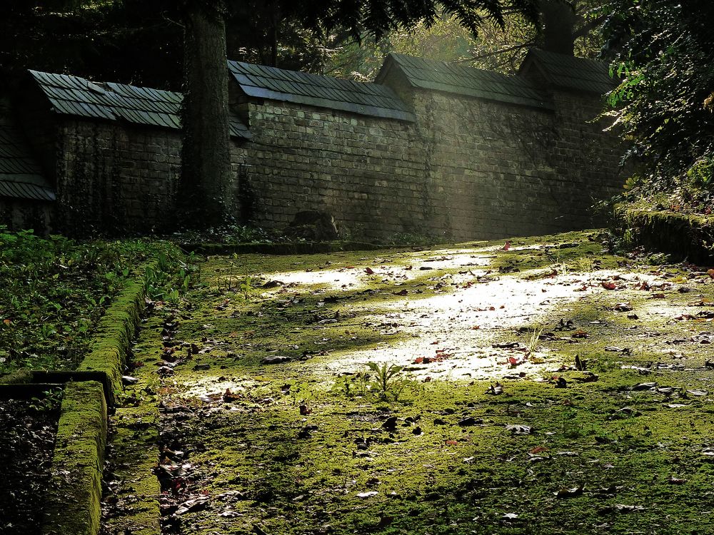 An der Klostermauer