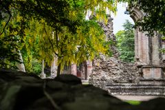 An der Klostermauer, Dryburgh Abbey, Schottland III