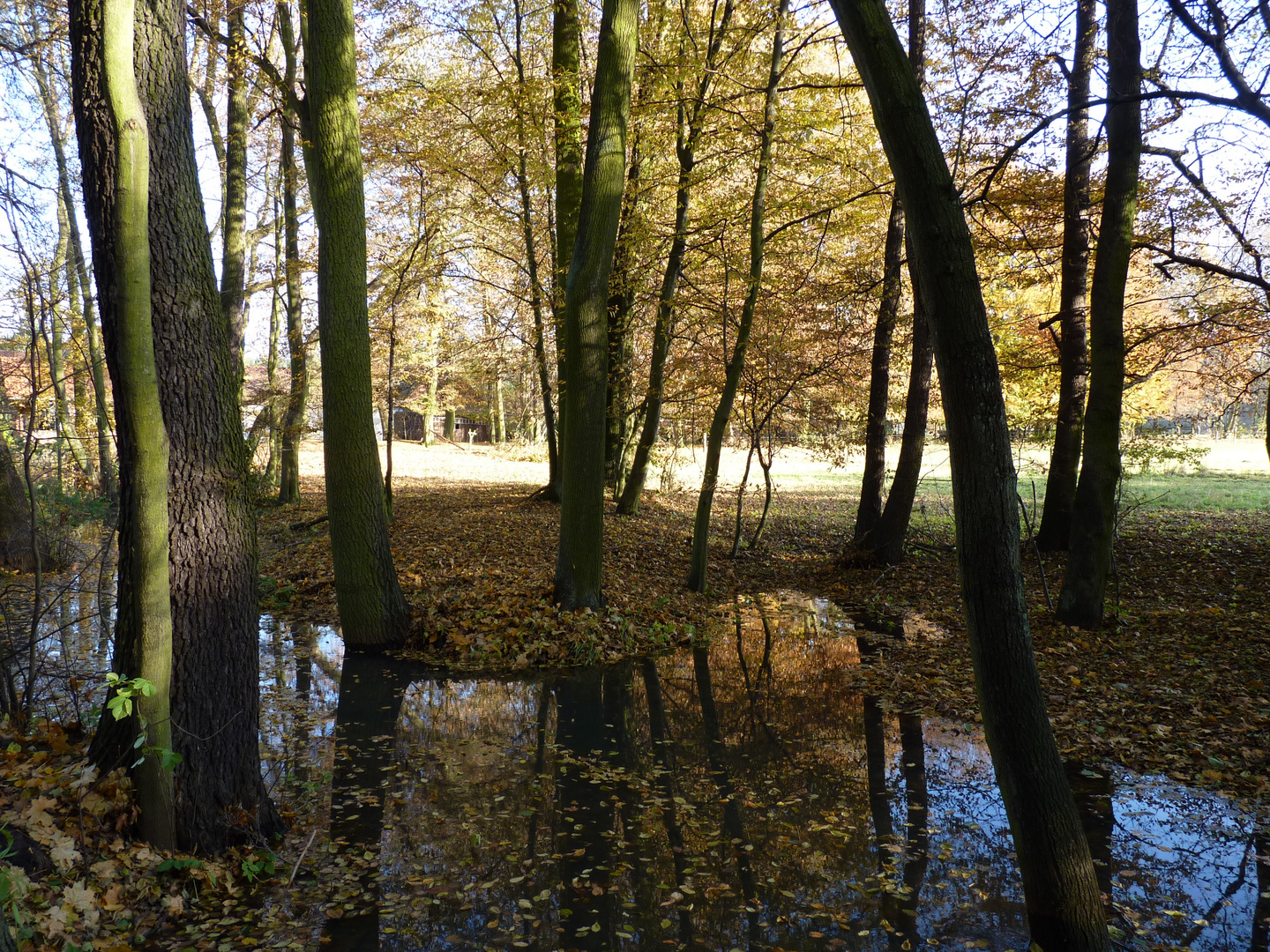 An der Koselmühle