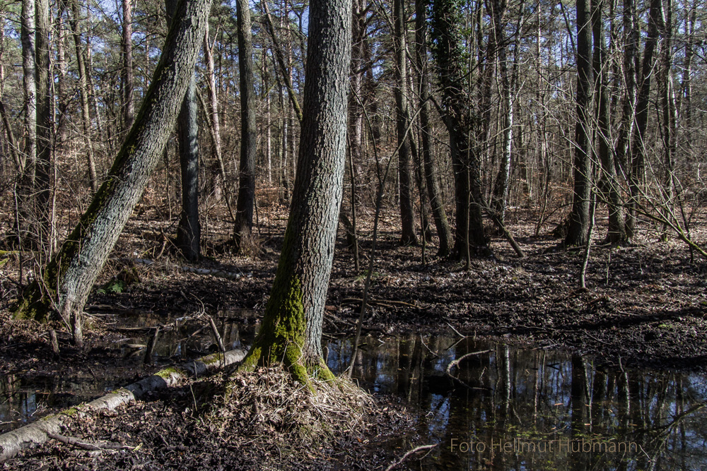 AN DER KRUMMEN LAKE #4