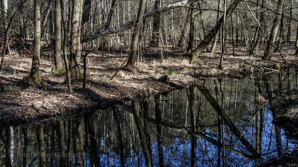 AN DER KRUMMEN LAKE IST DER BLAUE HIMMEL UNTEN