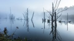 An der Kühweide bei Steinheim - Mittlere Horloffaue (Wetterau) -2-