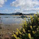 An der Küste, Karitane, NZ