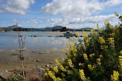 An der Küste, Karitane, NZ