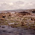 An der Küste von Borth, Wales