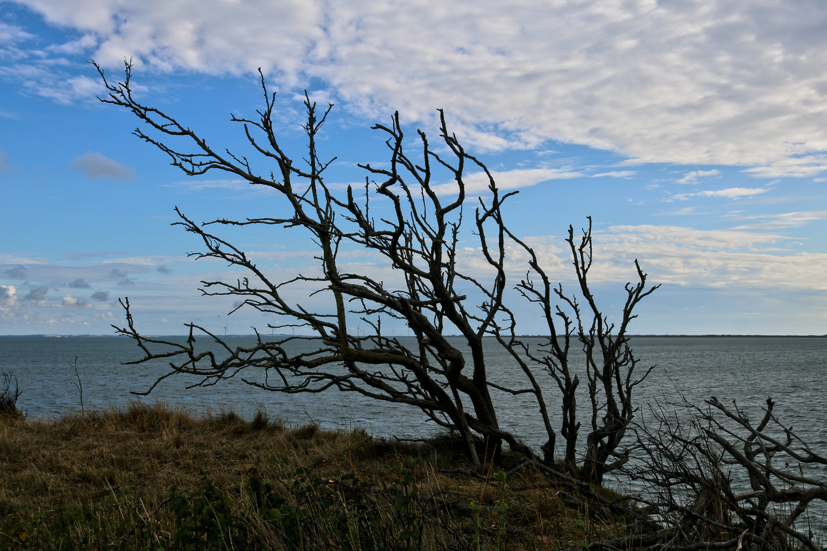 An der Küste zwischen Krik und Kjærgården - 2