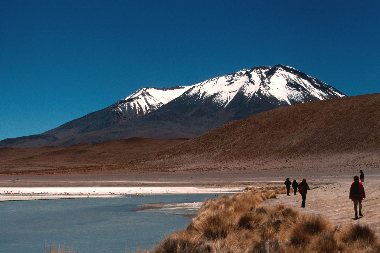 An der Laguna Colorada