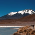 An der Laguna Colorada