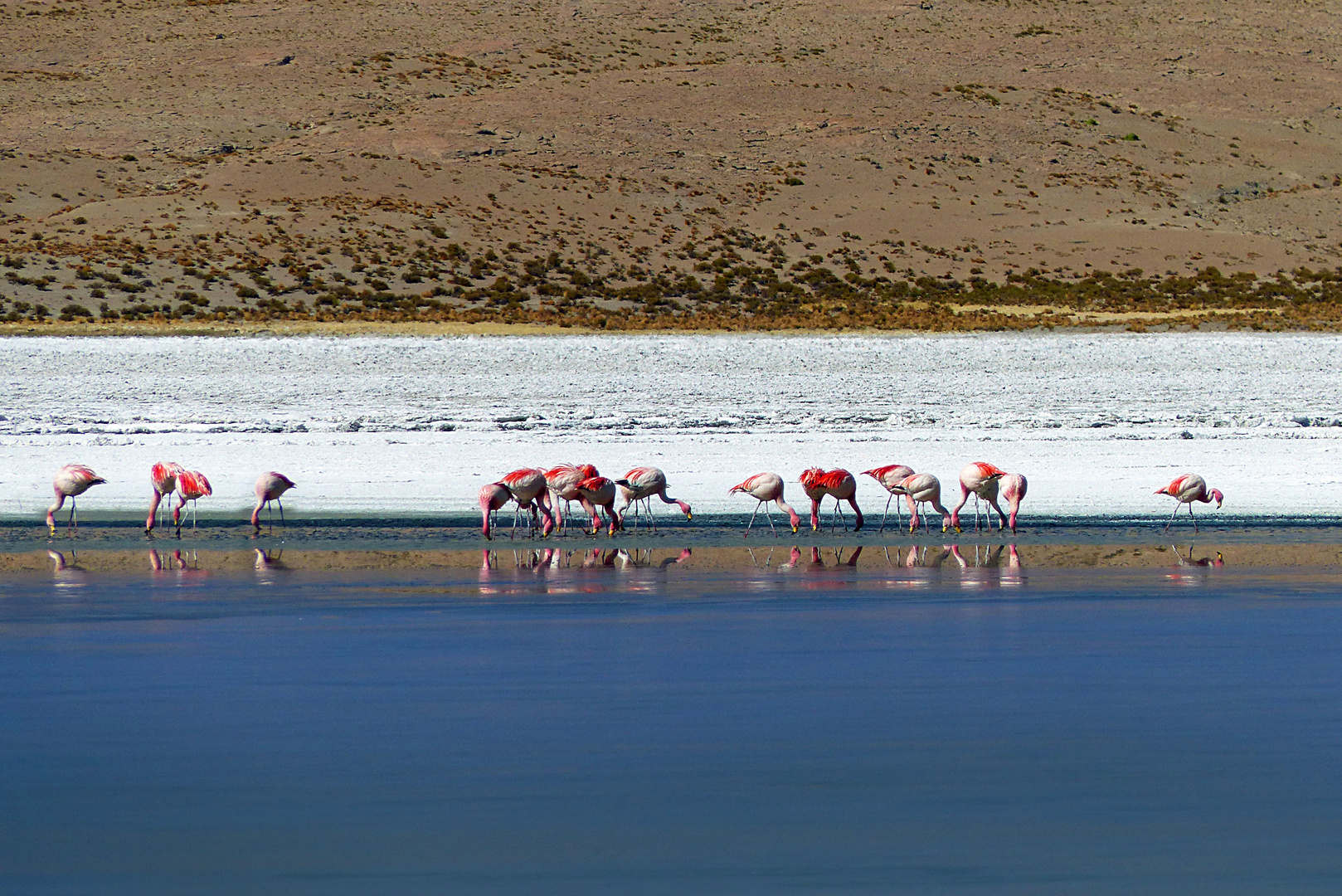 An der Laguna Hedionda