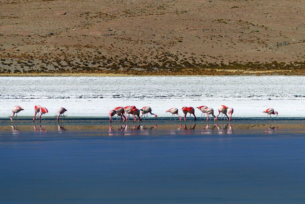 An der Laguna Hedionda