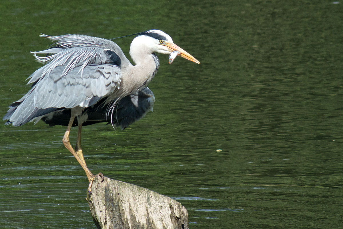 an der Lahn....