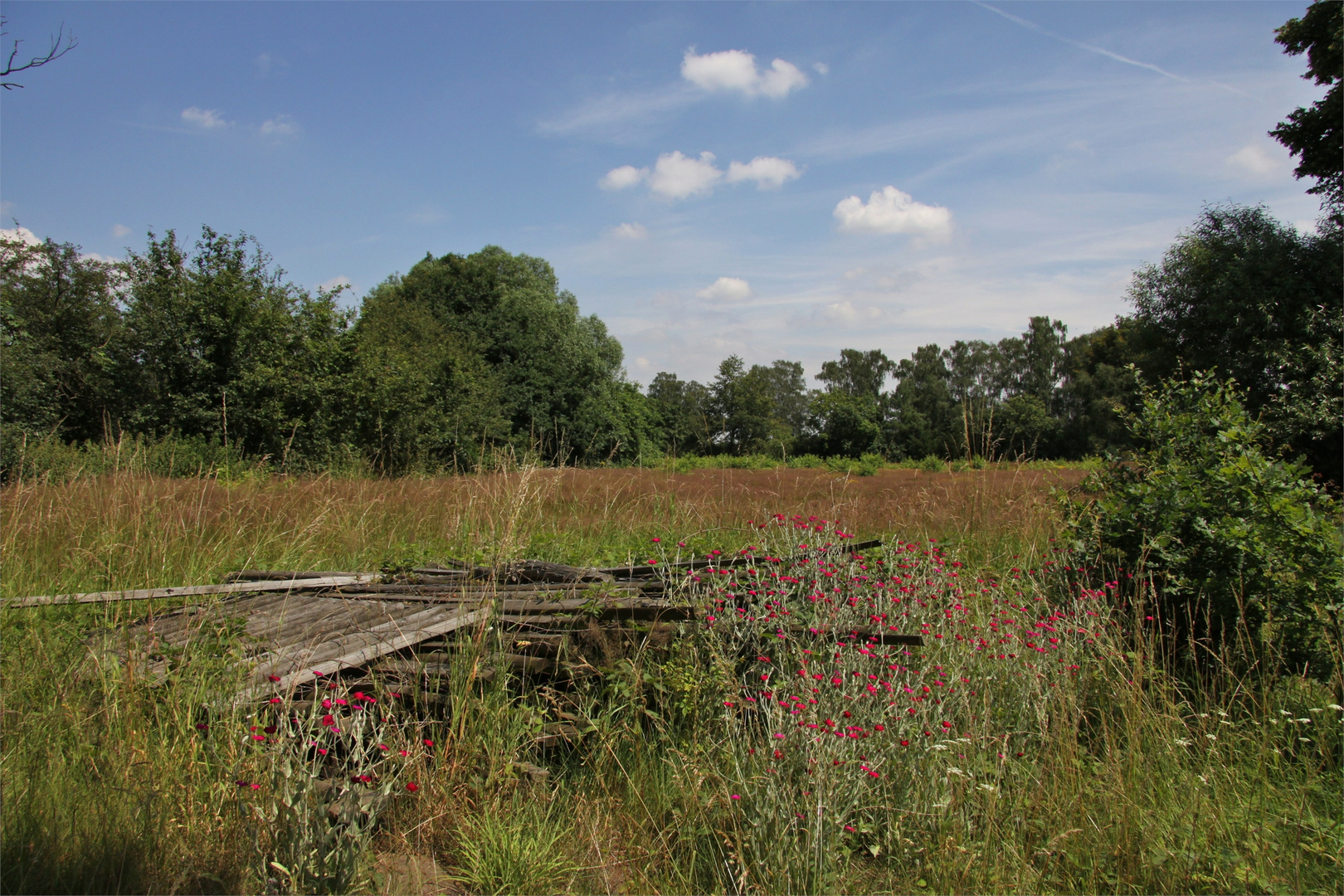 An der Landstraße