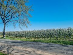An der Landstrasse
