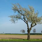 an der Landstraße sind ...