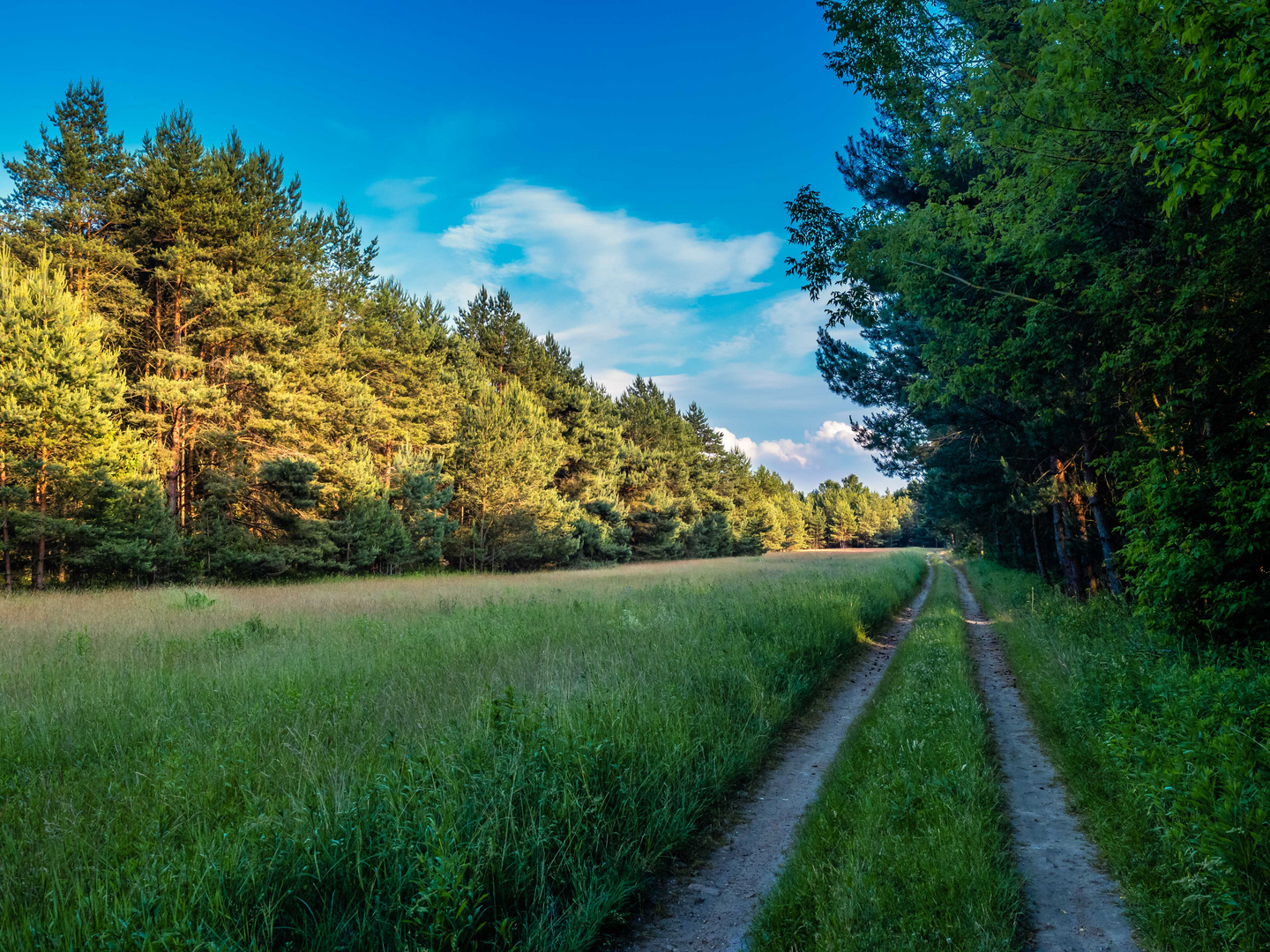 An der langen Wiese