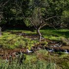 An der Lauter im Lenninger Tal