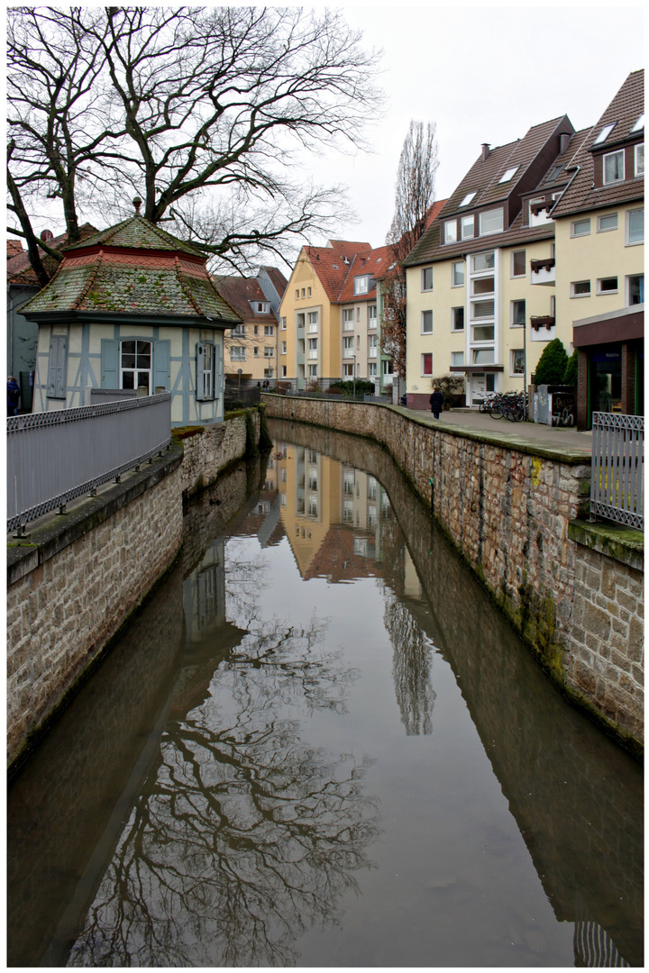 an der leine - in der leine. Foto & Bild | world, spezial, natur Bilder