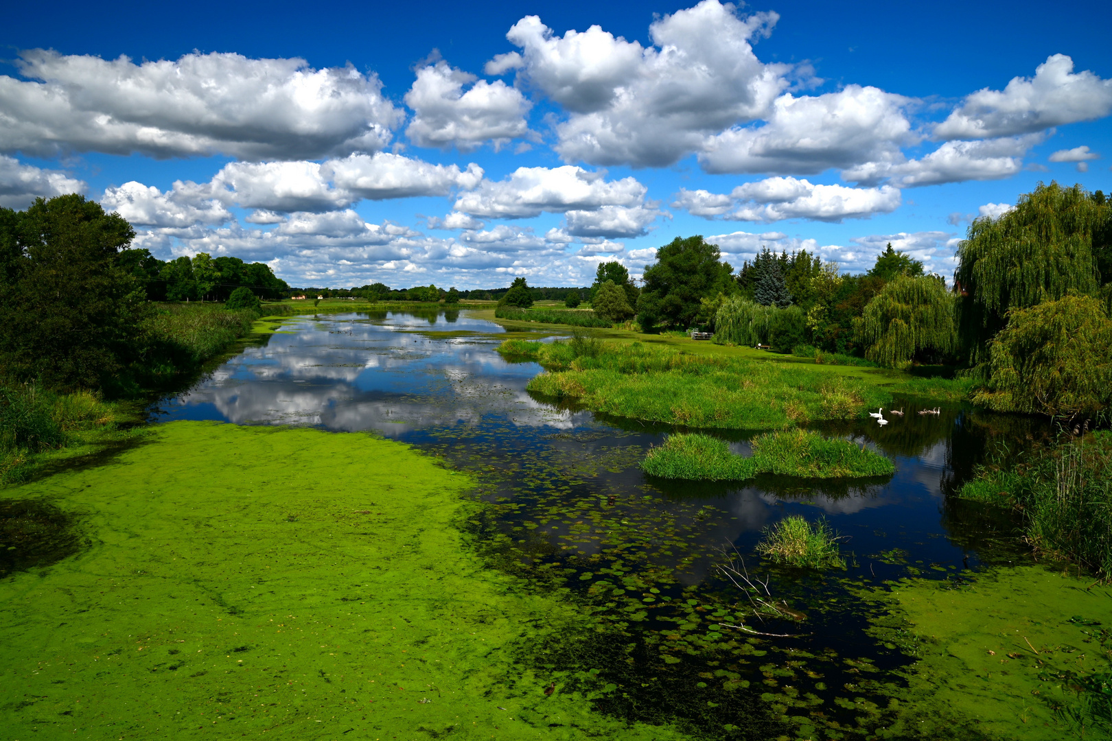 an der Löcknitz 