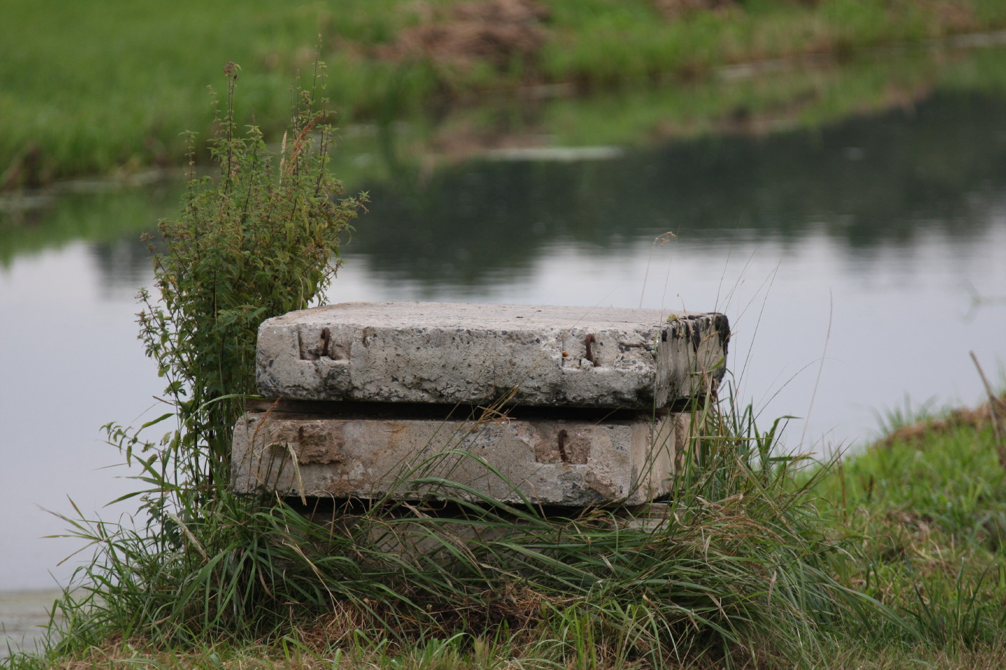 An der Löcknitz in Brandenburg