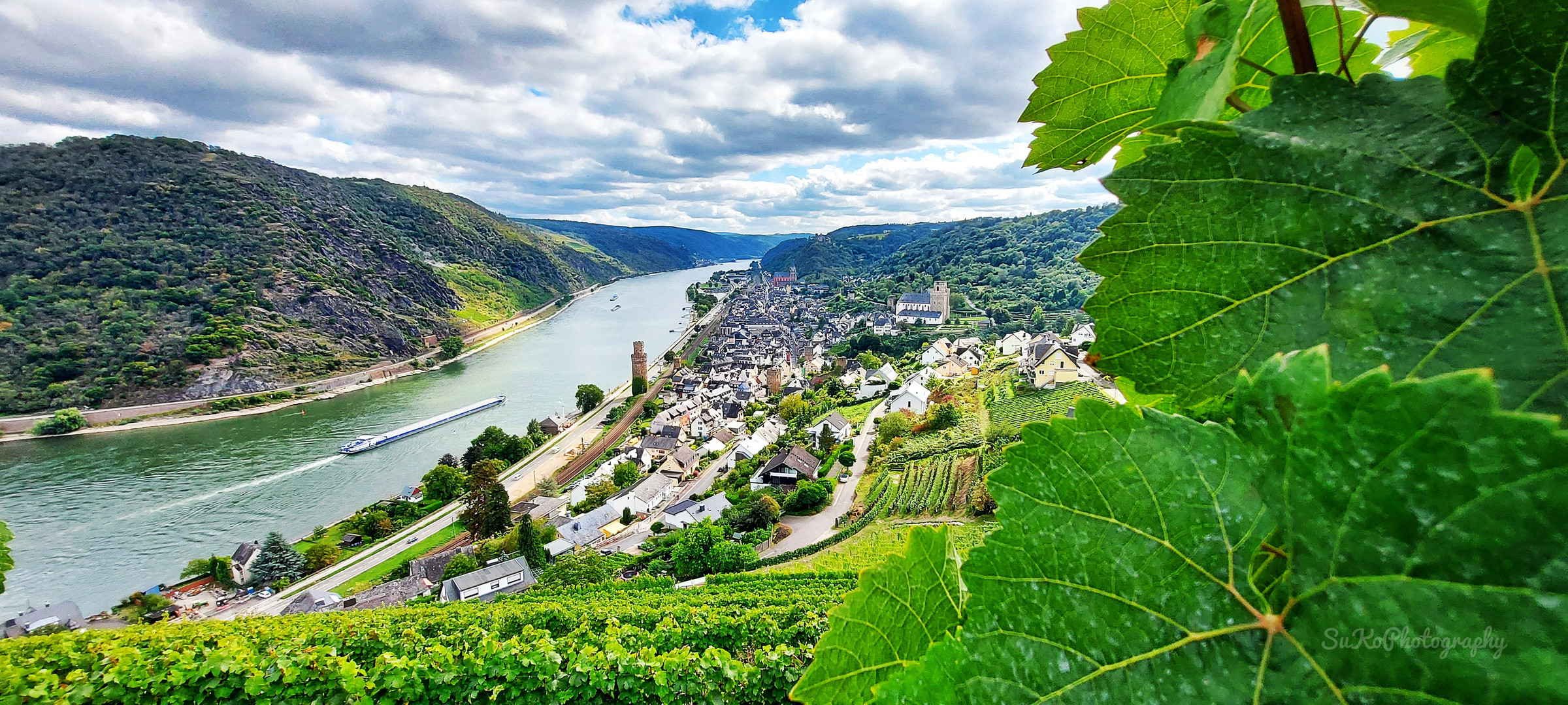 An der Loreley