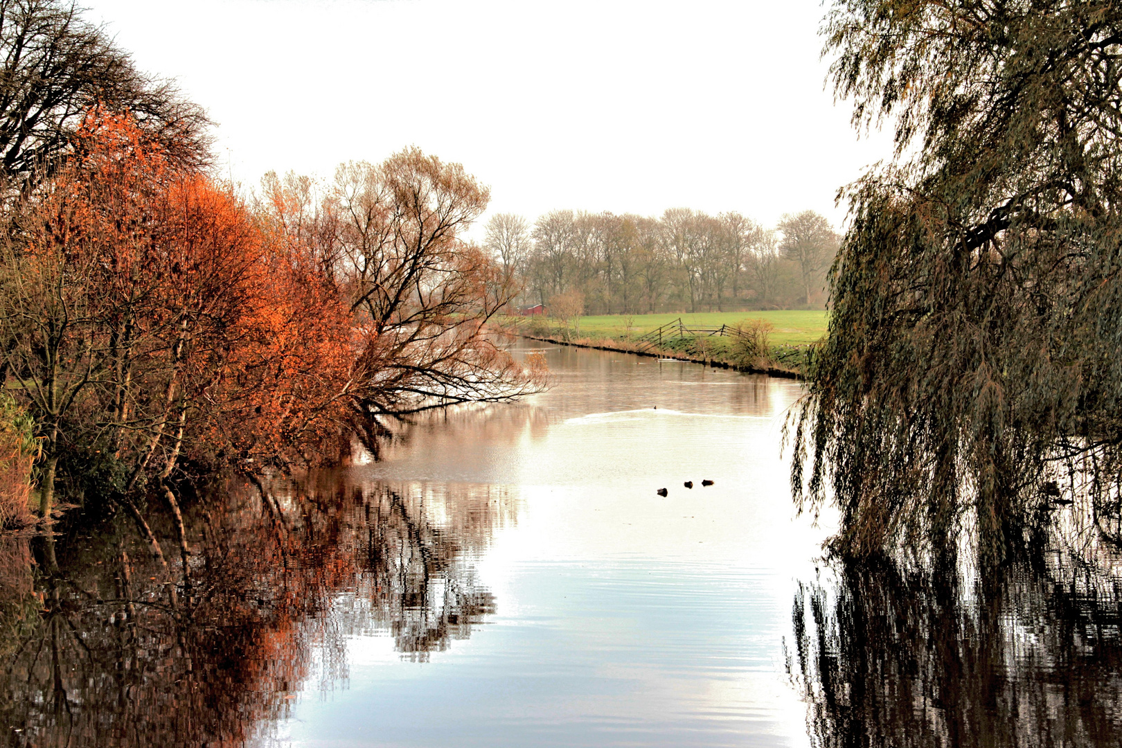 An der Lune im November