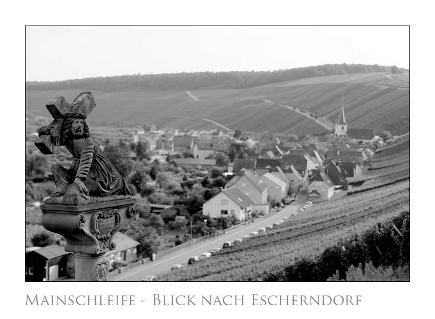 An der Mainschleife - Blick nach Escherndorf
