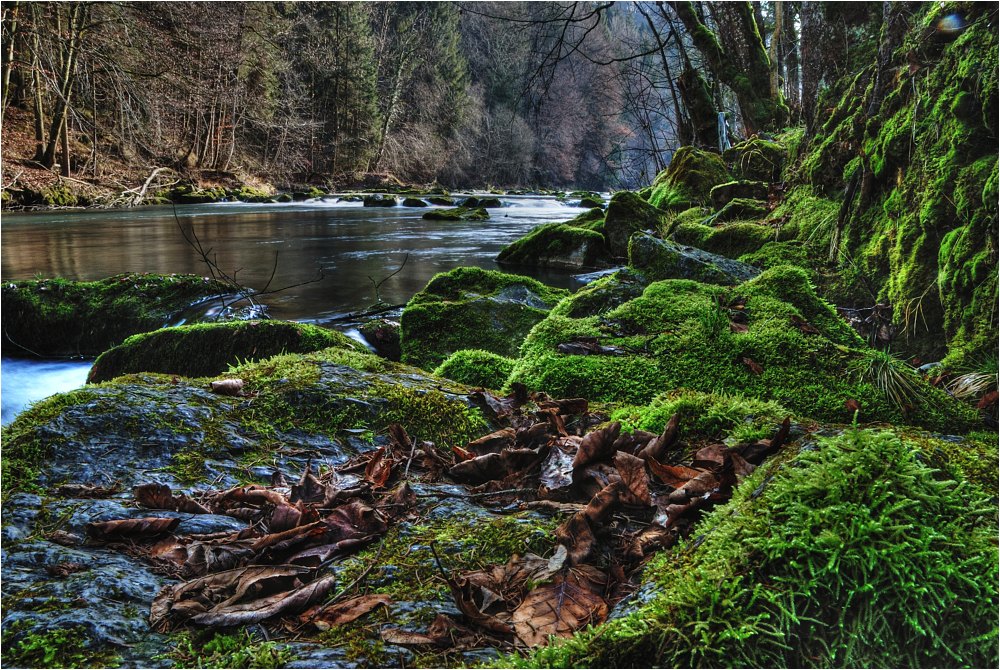 An der Mangfall Foto & Bild landschaft, bach, fluss & see, bachläufe