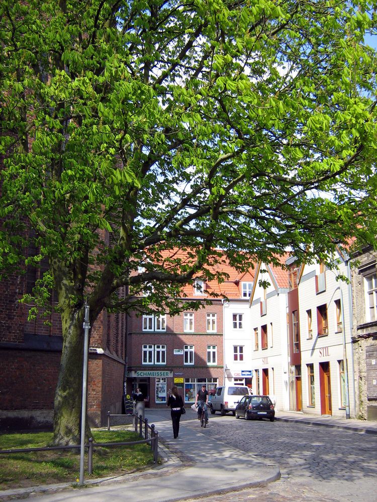 an der Marienkirche in Stralsund