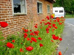 An der Mauer